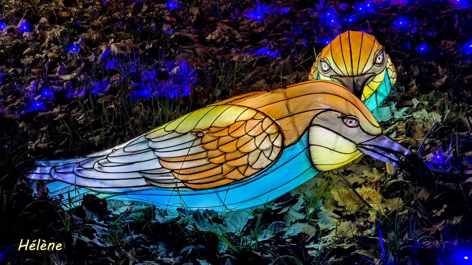 THOIRY -Illumination ,  Lumières sauvages 2025-2026